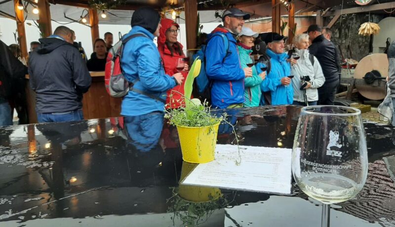 Weinwanderung15
