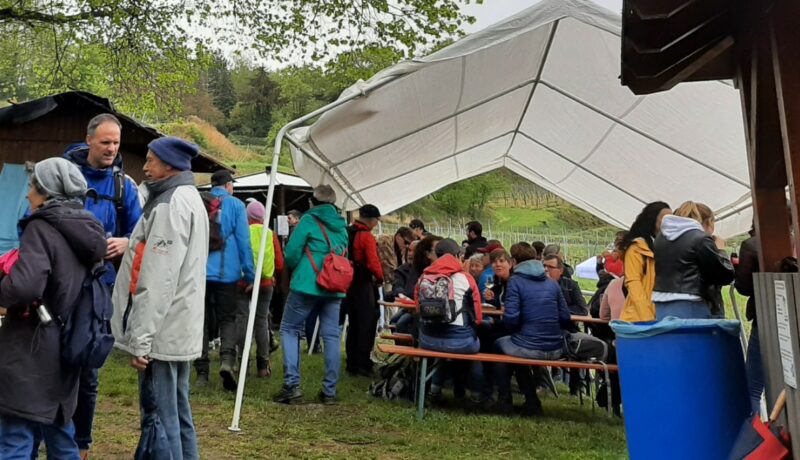 Weinwanderung16