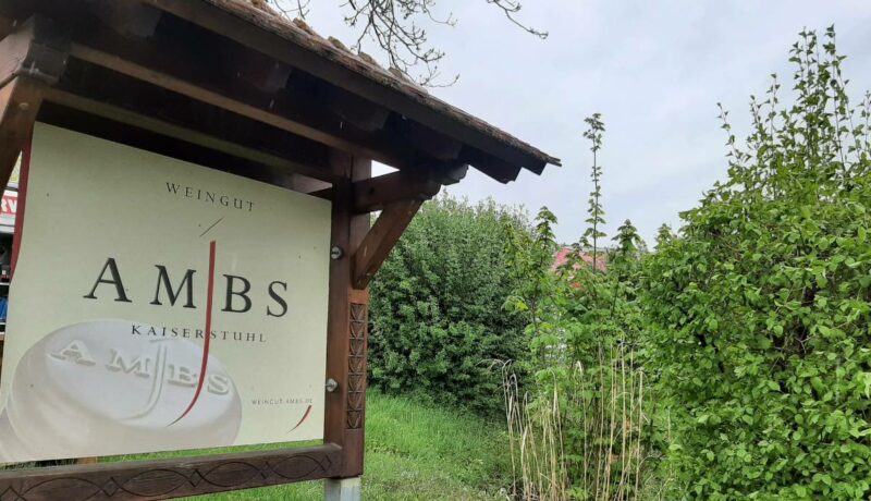 Weinwanderung4