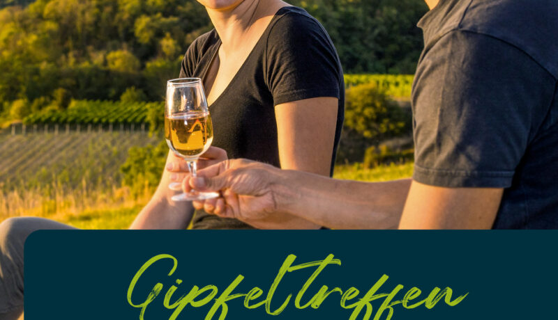 Social_Media_Status_Gipfeltreffen_2025_PARTNER_1080x1350px_02